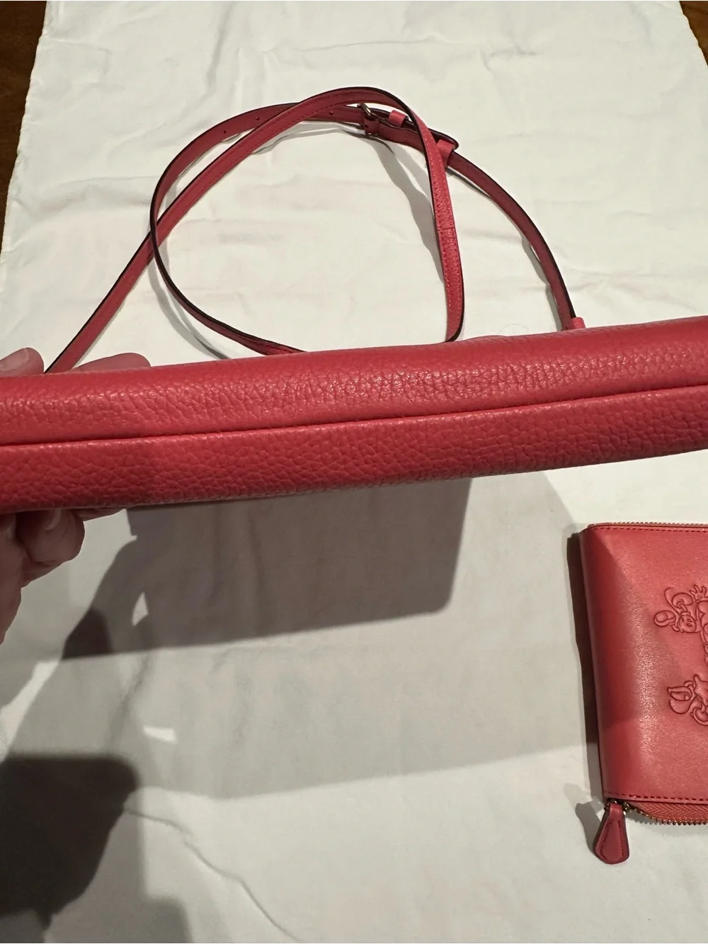 Coach Pink Mickey and Minnie  Leather Crossbody Bag and matching wallet.  New.